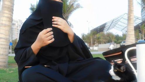 娱乐吃瓜君粉丝,揭秘幕后故事与精彩瞬间  第1张