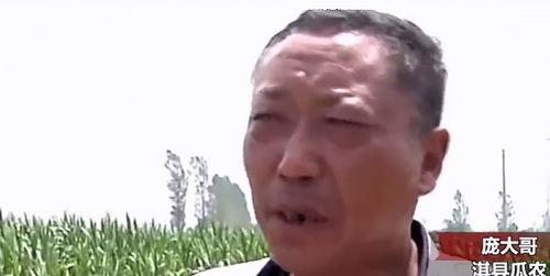 呼市吃瓜最新事件爆料新闻,揭秘最新爆料背后的真相与争议” 第3张 呼市吃瓜最新事件爆料新闻,揭秘最新爆料背后的真相与争议” 第3张