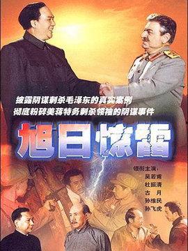 旭日惊雷在线观看,在线观看，揭秘神秘力量与传奇冒险  第2张